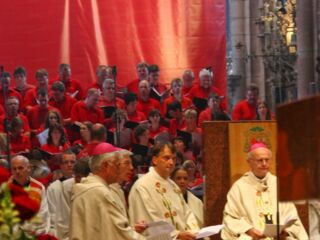 freiburg07.jpg